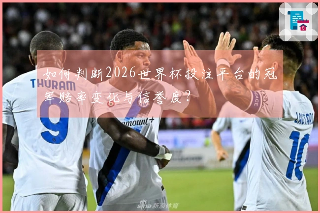 如何判断2026世界杯投注平台的冠军赔率变化与信誉度？