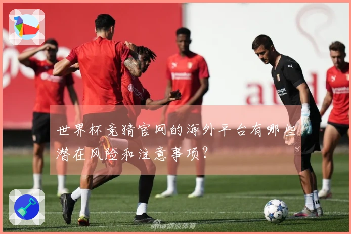 世界杯竞猜官网的海外平台有哪些潜在风险和注意事项？