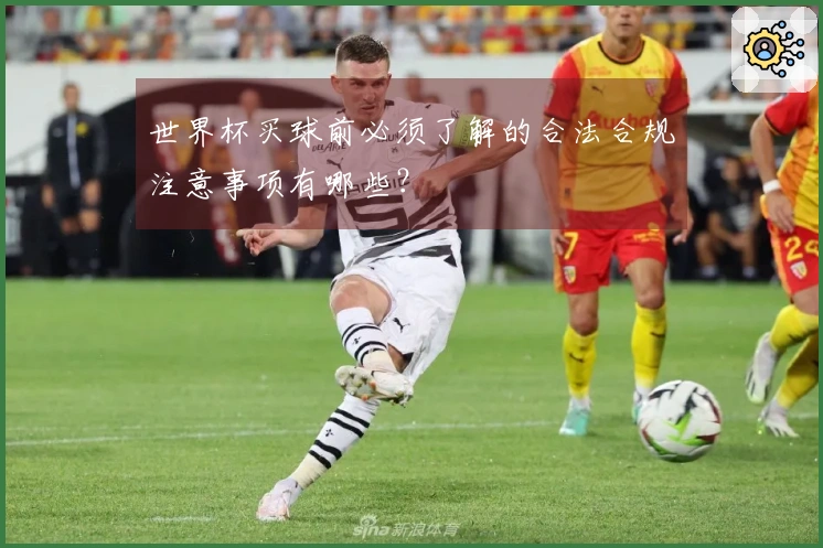 世界杯买球前必须了解的合法合规注意事项有哪些？