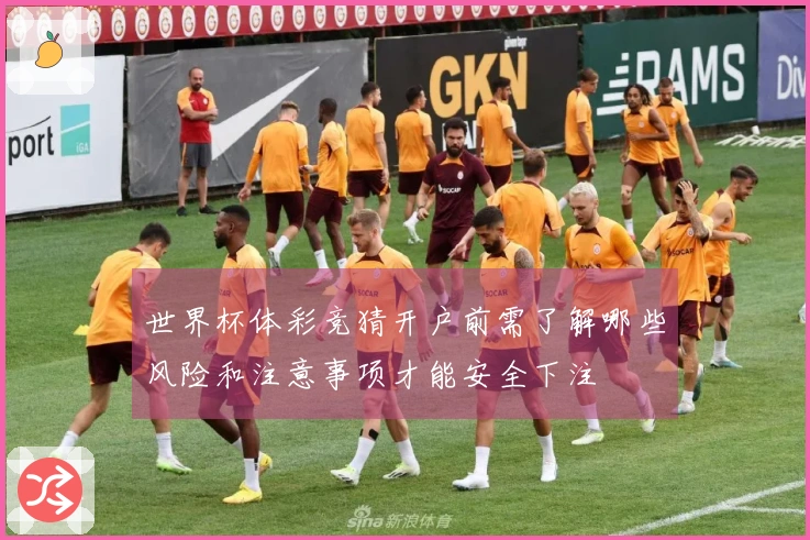 世界杯体彩竞猜开户前需了解哪些风险和注意事项才能安全下注