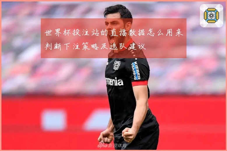 世界杯投注站的直播数据怎么用来判断下注策略及选队建议